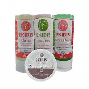 Pack Membres Inférieurs